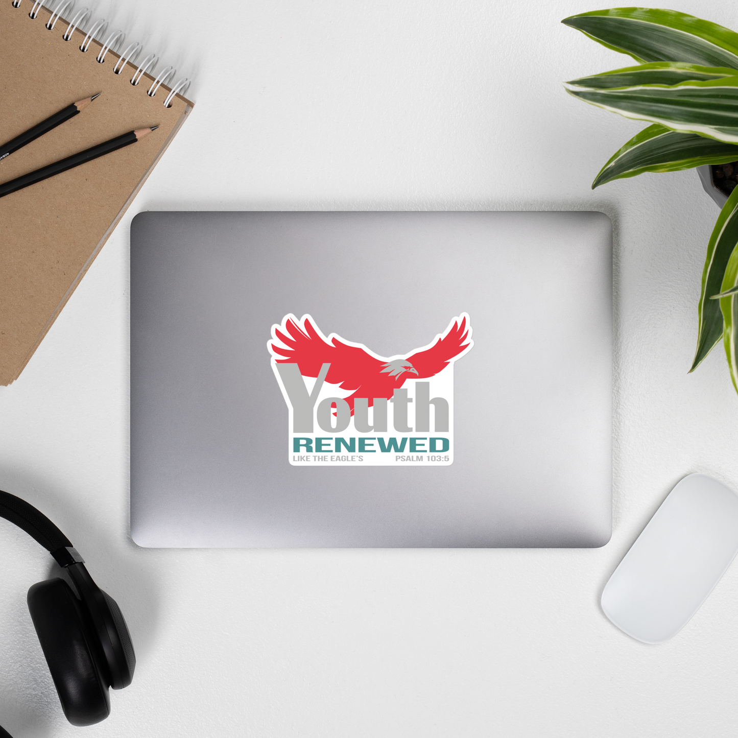 Youth Renewed
