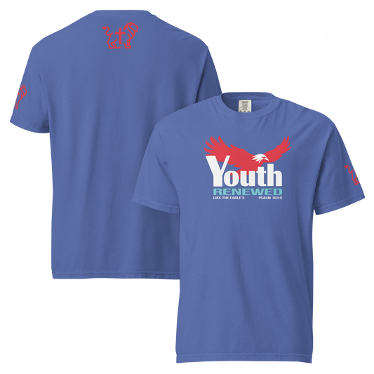 Youth Renewed heavyweight t-shirt