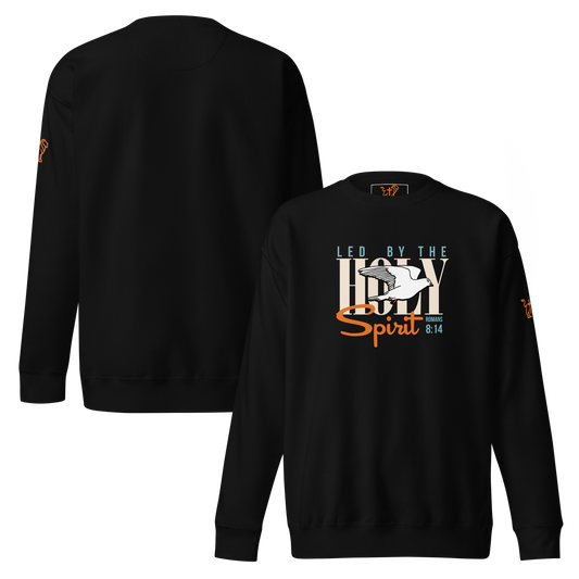 Led by the Holy Spirit