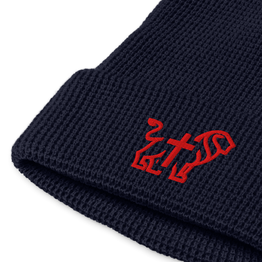 JIC embroidered navy II beanie
