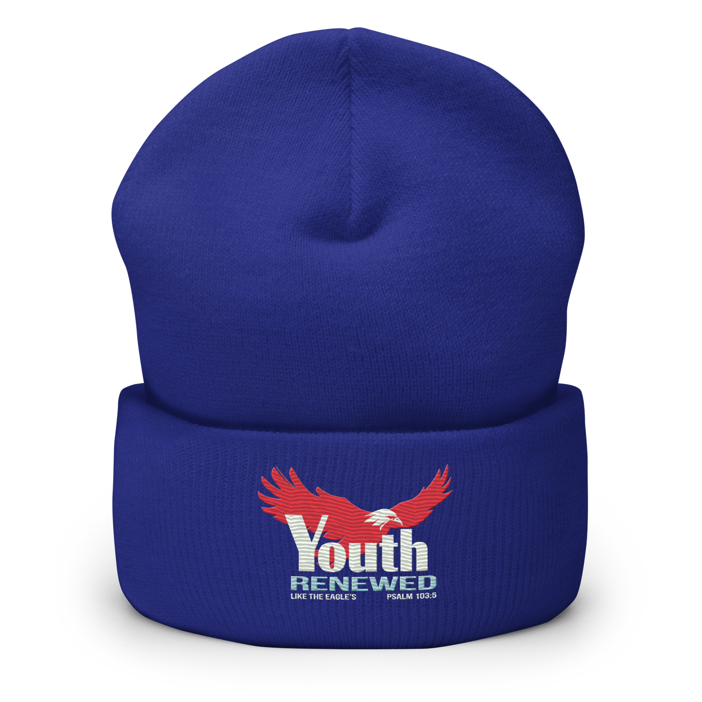 Youth Renewed embroidered beanie