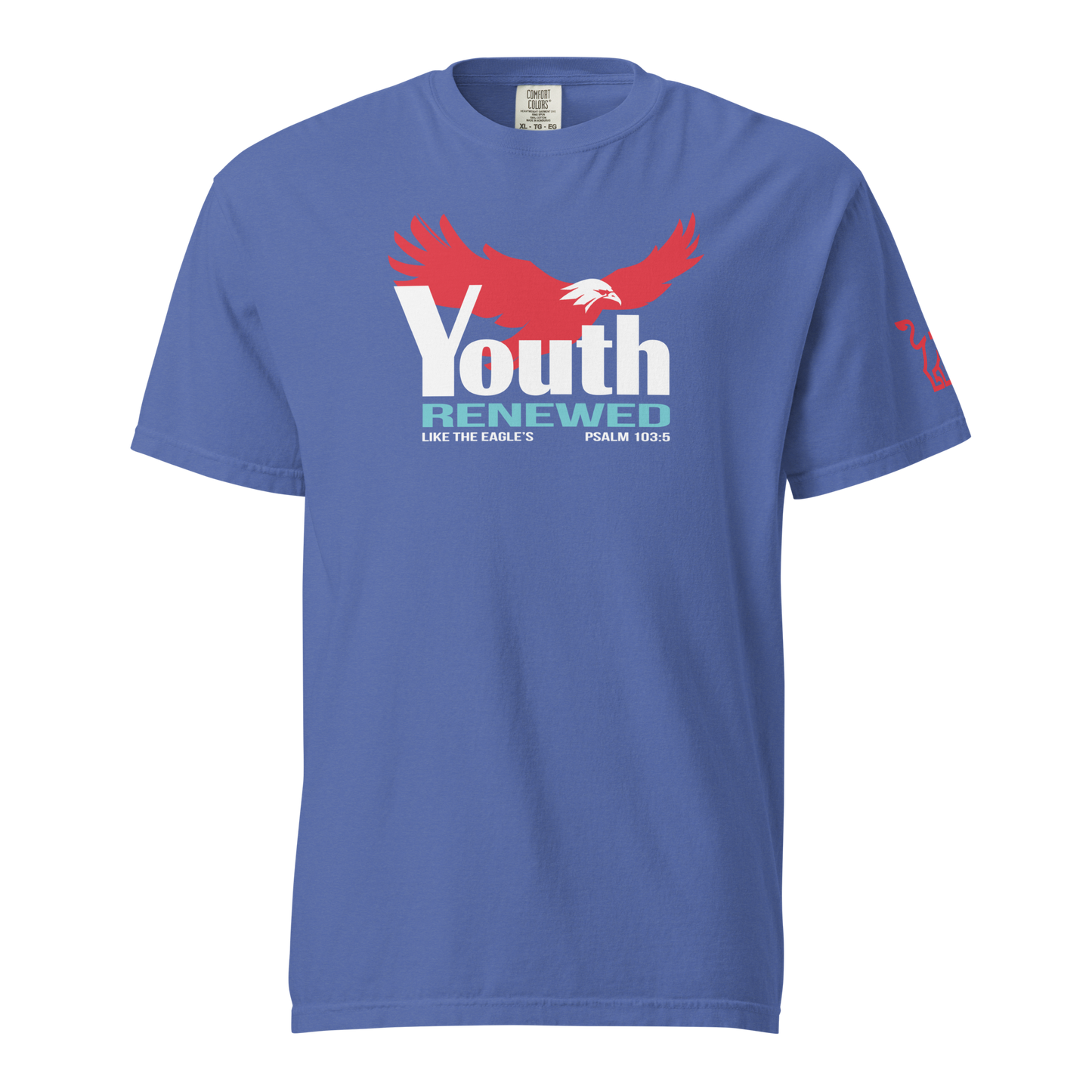 Youth Renewed heavyweight t-shirt