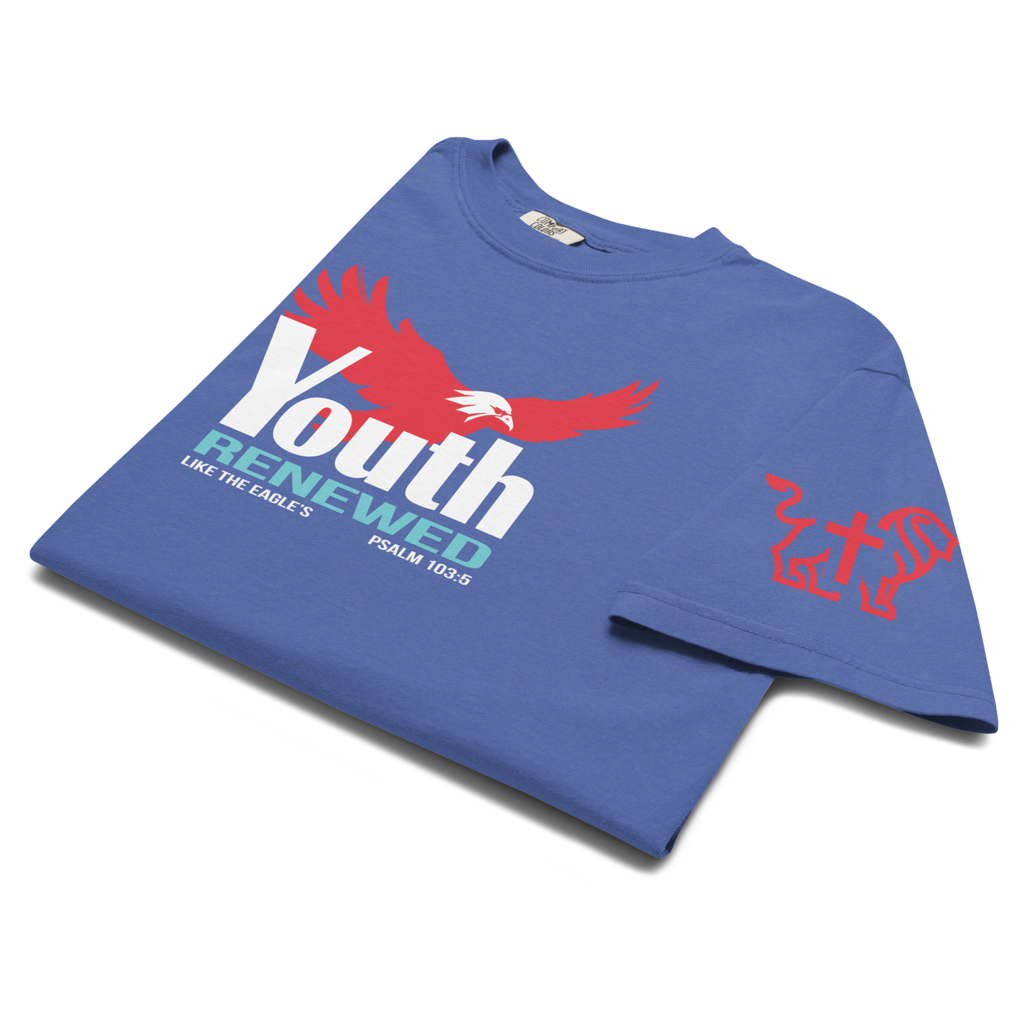 Youth Renewed heavyweight t-shirt