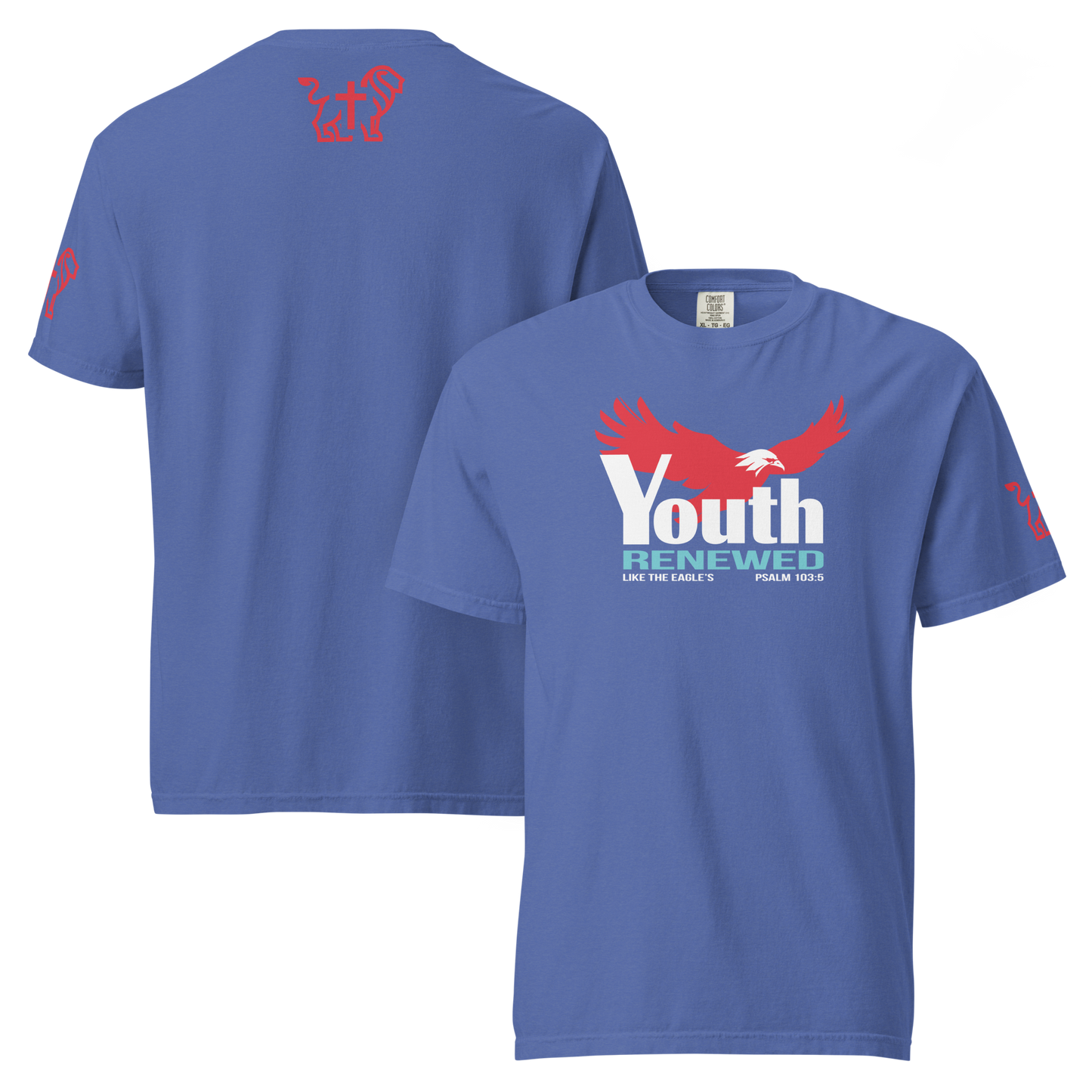 Youth Renewed heavyweight t-shirt