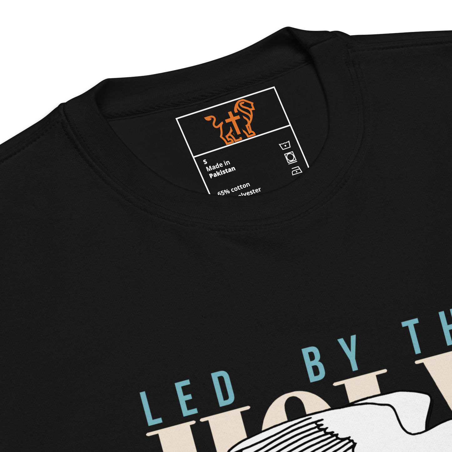 Led by the Holy Spirit