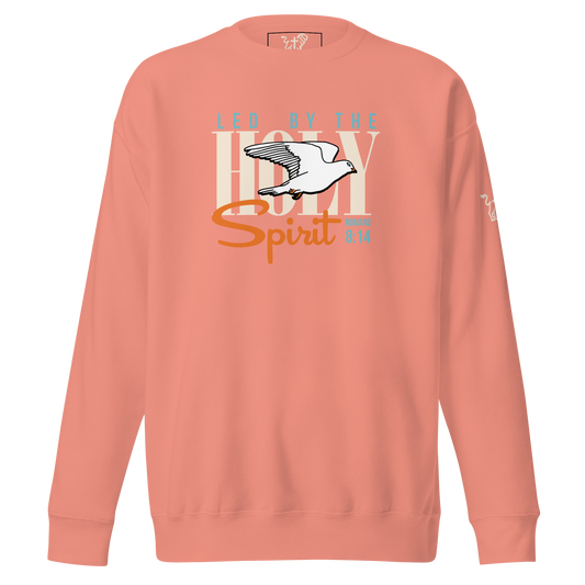 Led by the Holy Spirit rose