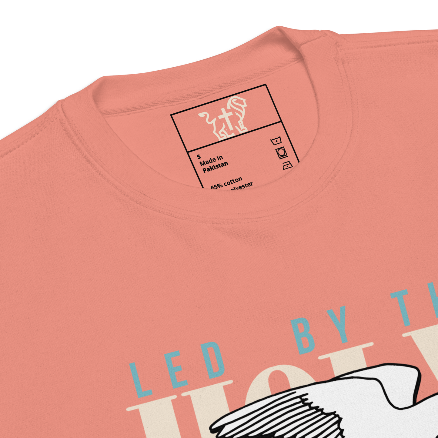 Led by the Holy Spirit rose