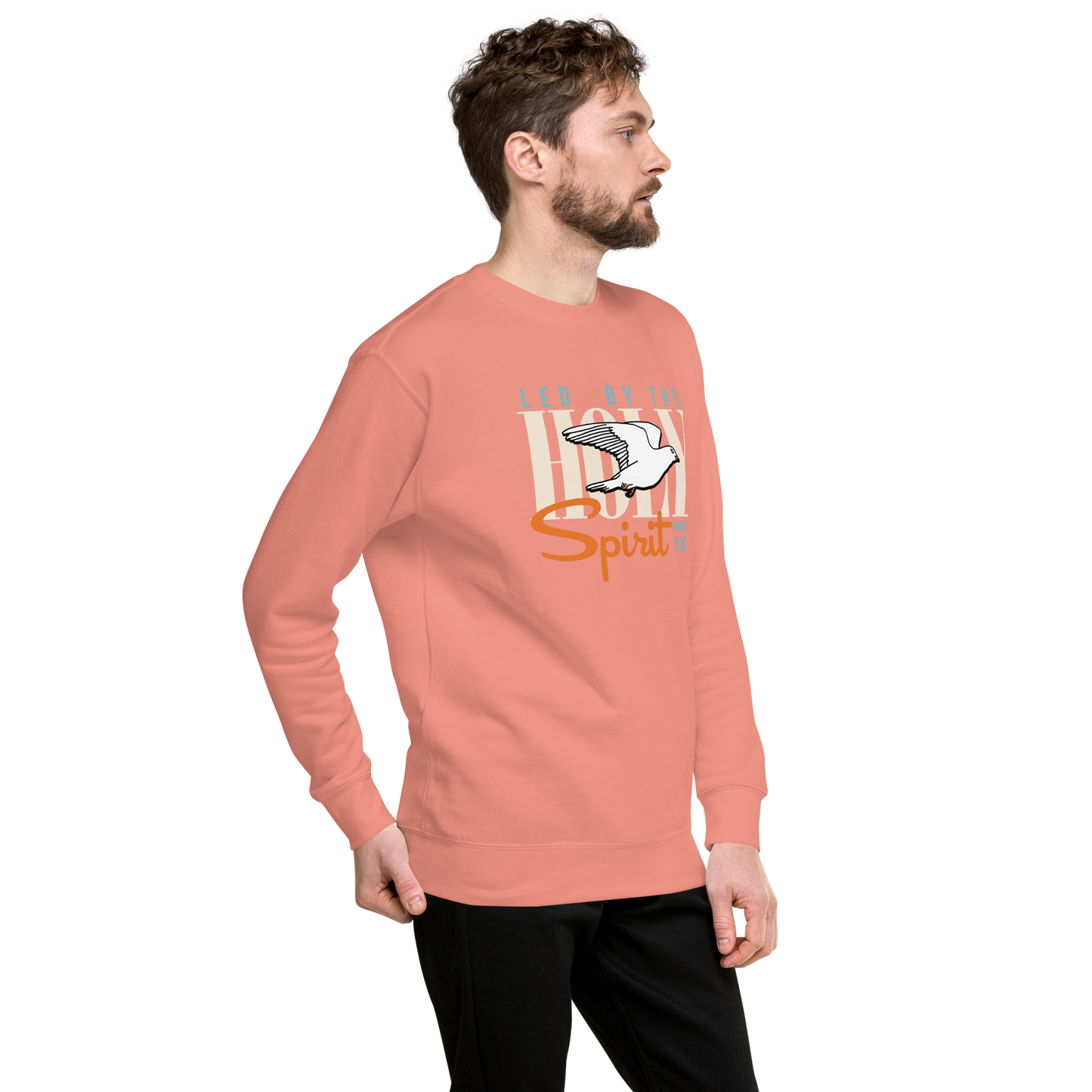 Led by the Holy Spirit rose