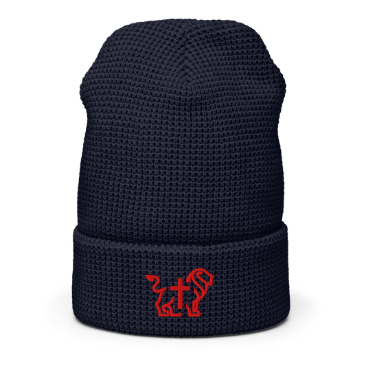 JIC embroidered navy II beanie